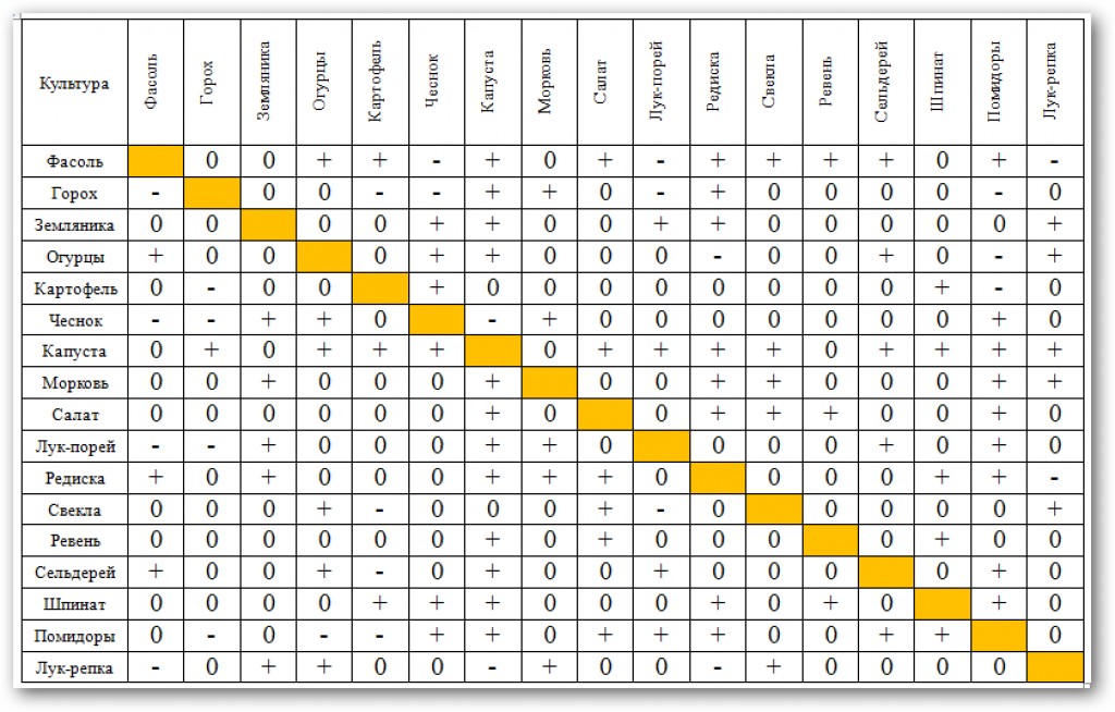 Совместимость базилика. Таблица смешанных посадок овощей на огороде таблица. Таблица совместимости посадки овощей на огороде. Соседство овощей на грядках таблица. Таблица соседства овощных культур.