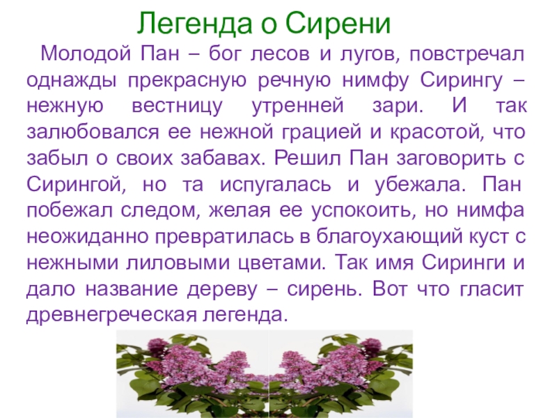 Сочинение егорнова сирень