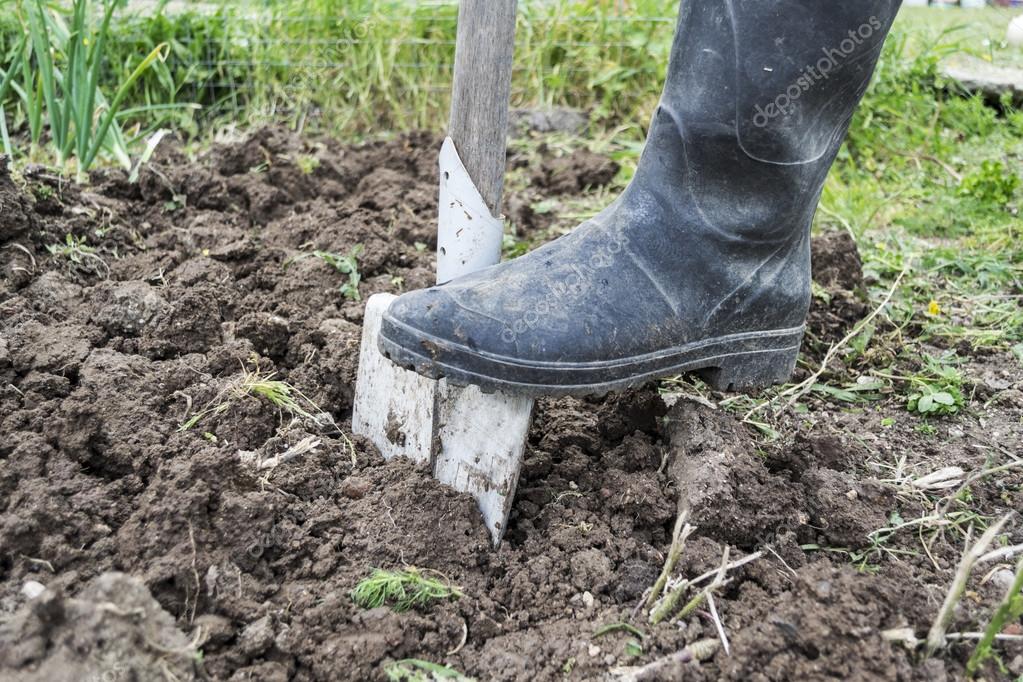 depositphotos 24887395 stock photo digging spring soil with shovel