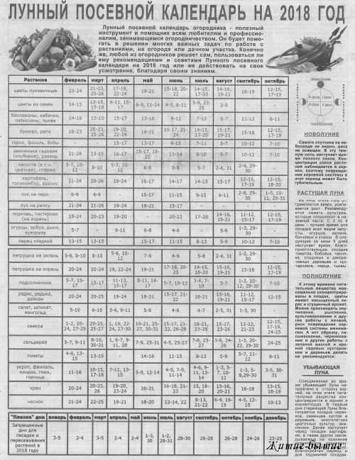 Дачный участок календарь на февраль. Лунный посевной календарь на 2018 год. Запрещенные дни для посадки. Запрещенные дни для посадки в мае. Посевной календарь на апрель 2018.