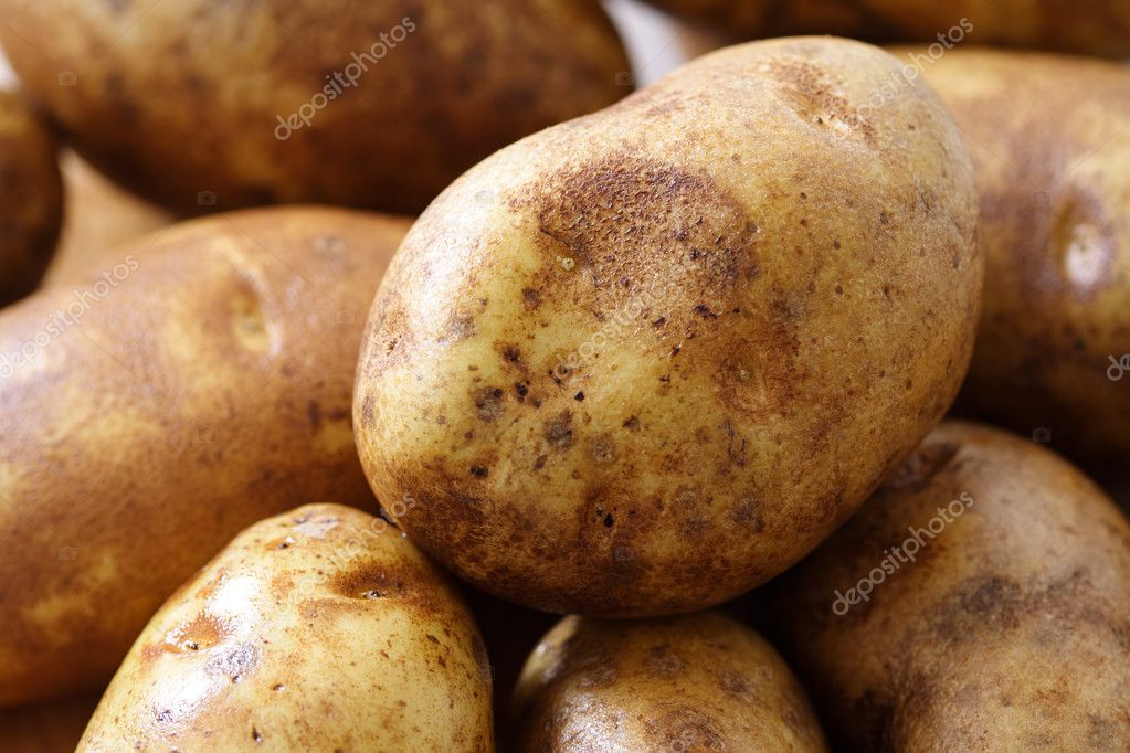 depositphotos 2587086 stock photo potatoes