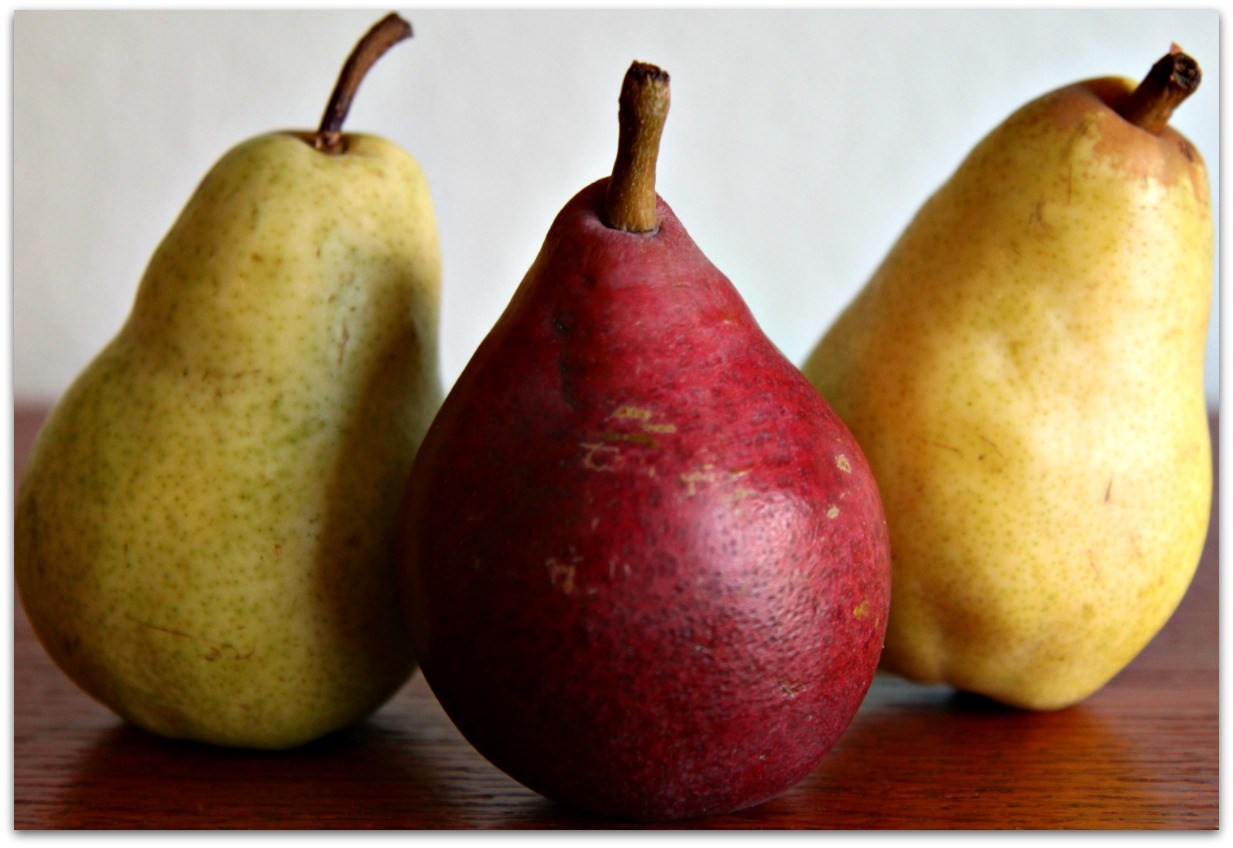 Sweet pear. Груша Муратовская. Груша большая летняя. Груша сорт большая летняя. Самая большая груша сорт.