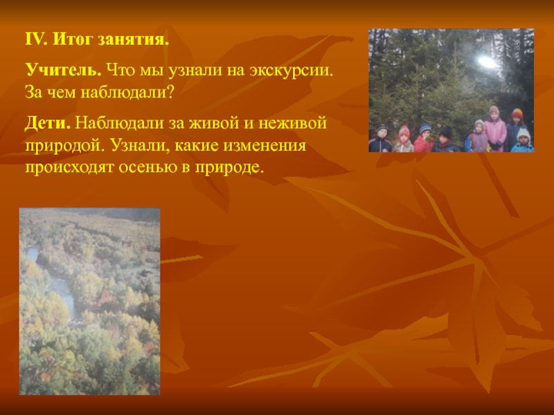 Изменения живой и неживой природы осенью. Изменения в живой и неживой природе осенью. Какие изменения происходят в живой природе осенью. Наблюдения в живой природе осенью. Экскурсия осенние изменения в природе.