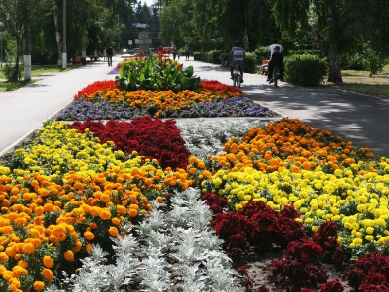 Городская клумба фото. Парк Гагарина Самара клумбы. Клумба Тольятти. Самарский парк Победы клумбы. Парк Царицыно цветники.