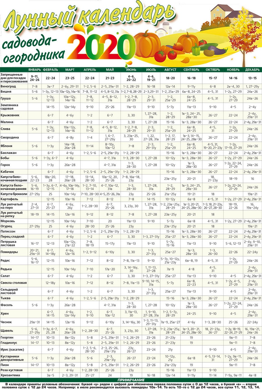 Календарь садовода на год. Лунный посевной календарь садовода на 2021. Лунный календарь садовода на 2021 год по месяцам. Лунный календарь календарь садовода и огородника на 2021. Лунный посевной календарь по фазе Луны на.
