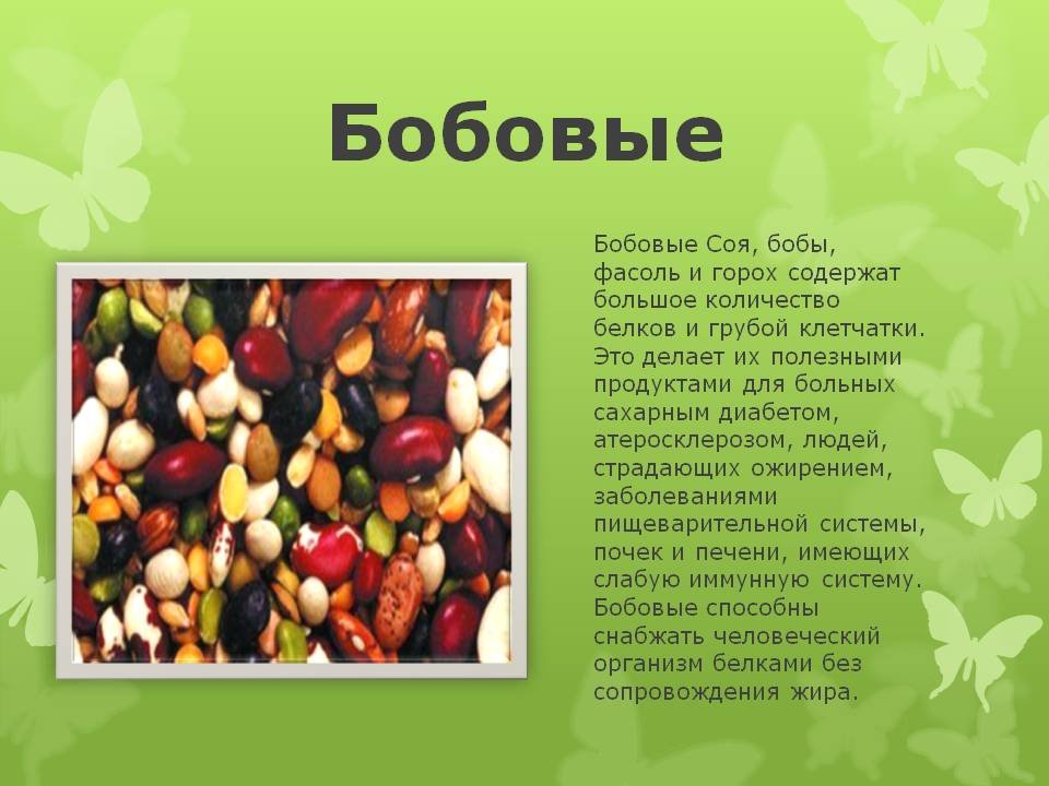 Польза фасоли. Перечень бобовых культур. Презентация зернобобовые культуры. Зернобобовые растения список. К чему относятся бобовые.