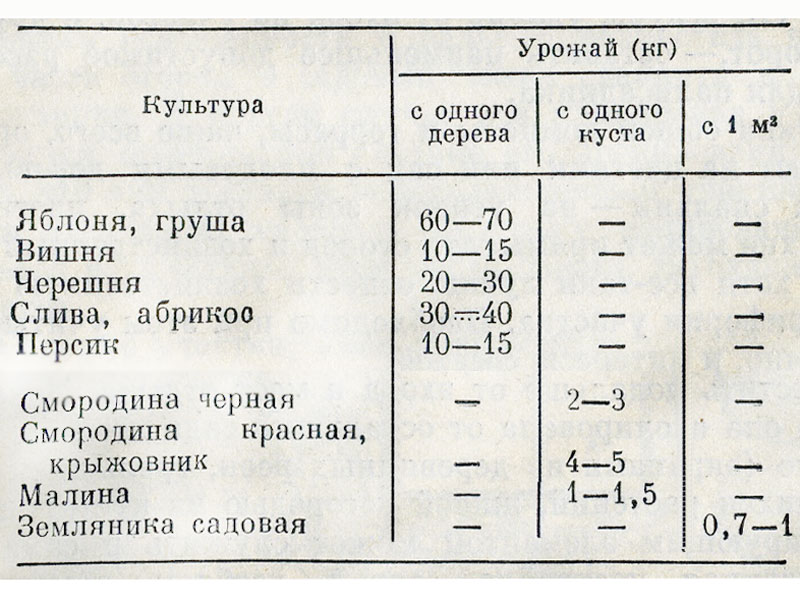 На каком расстоянии сажать вишню друг. Посадка яблони расстояние между деревьями. Расстояние при посадке яблонь между деревьями. Расстояние между деревом и кустарником. Расстояние посадки плодовых деревьев.