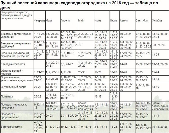 Посевной календарь средней полосы россии 2024 год