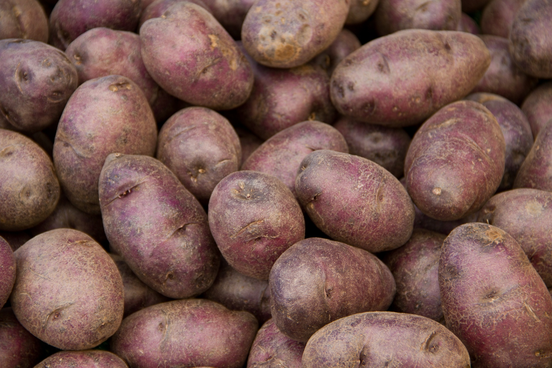 purple potatoes