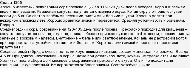 Какого числа квасить капусту в жд декабре на растущую луну. На какой луне квасить капусту в декабре. Благоприятные дни для соления капусты. Благоприятные дни для засолки капусты. Благоприятные дни для соления капусты.